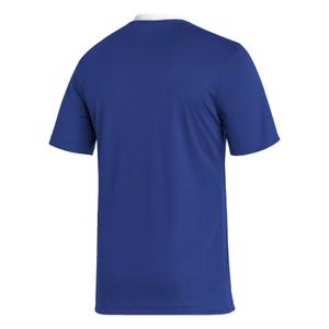 Maglia Adidas Entrada 22 image-6