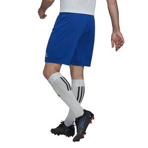 Pantalón corto adidas Entrada 22 image-5