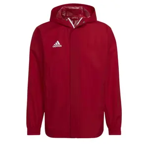 Veste adidas Entrada 2 All-Weather