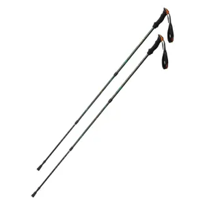 Hiking stick Hi-Tec Toalps image-0