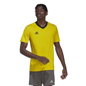 Maglia adidas Entrada 22 image-5