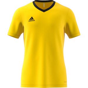 Maglia adidas Entrada 22 image-1