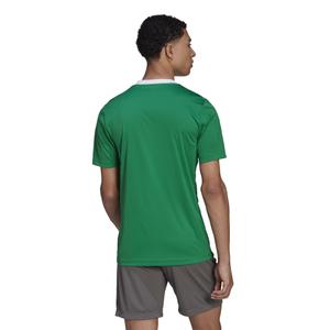 Maglia Adidas Entrada 22 image-4