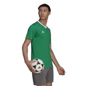 Maglia Adidas Entrada 22 image-6