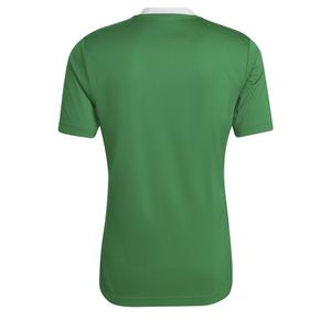 Maglia Adidas Entrada 22 image-3