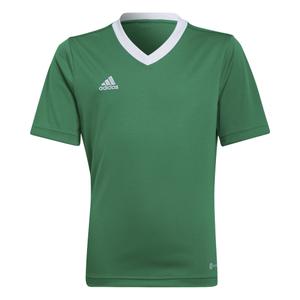 hi2126-camiseta-para-ni-os-adidas-entrada-22-verde-blanco