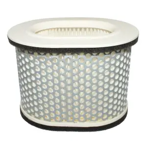 Filtre à air Hiflofiltro Yamaha 1000 FZR Exup 1989>1995 YZF R1 Thunder ACE 1996>2002 image-0