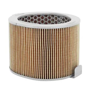 Luftfilter Hiflofiltro Honda 1000 Cbx Prolink 1980>1982 image-0