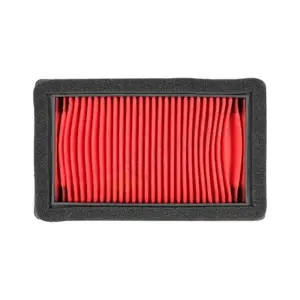 Filtre à air Hiflofiltro Yamaha 660 Xt R Xt 660 X 2004+2016 Mt-03 2006+2012 -Hfa4613- image-1