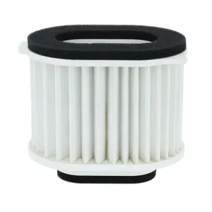 Filtro dell'aria Hiflofiltro Yamaha 1300 Xvz 12 Ct 2000>2013 image-0