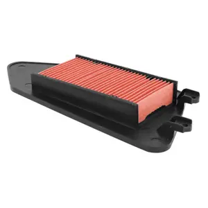 Luftfilter Hiflofiltro Honda 100 LEAD 2003+2007 image-0