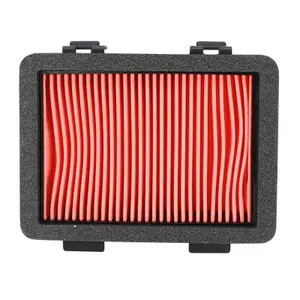 Filtro dell'aria Hiflofiltro KTM 125 Duke 2017+ 200 Duke 2020+ 250 Duke 2017+ 390 Adventure 2020+