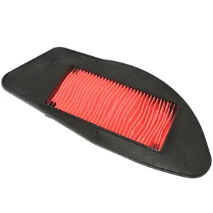 Filtre à air Hiflofiltro Yamaha 125 Cygnus X 2004>2014 - Mbk 125 Flame X 2004 image-0