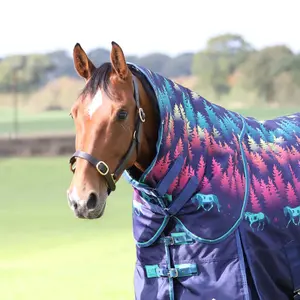 Neck Rug Highlander Original Lite Turnout image-0