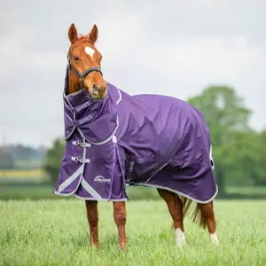 Couvre-cou pour cheval Highlander Original 100g image-1