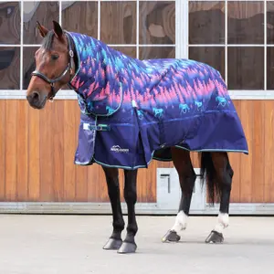 Manta para cavalos ao ar livre Highlander Original Combo 100g image-0