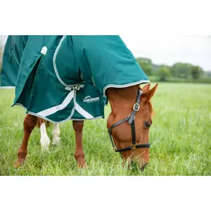 Neck Rug Highlander Original 300g image-0