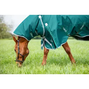 Outdoor-Decke für Pferde Highlander Original Combo 300g image-1