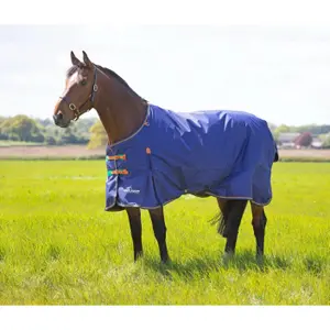 Outdoor-Decke für Pferde mit Halsabdeckung Highlander Original 100g image-1