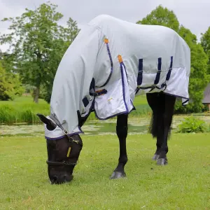 Fliegendecke für Pferde Highlander Plus Sun Shade Combo image-0