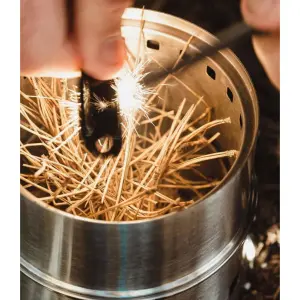 Lucifers Highlander beech image-2