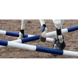 Zubehör für Sprungstangen Hippotonic image-2