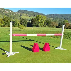 Zubehör für Hürden mit Würfel Hippotonic image-1