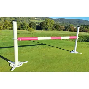 Zubehör für Hürden mit Würfel Hippotonic image-2