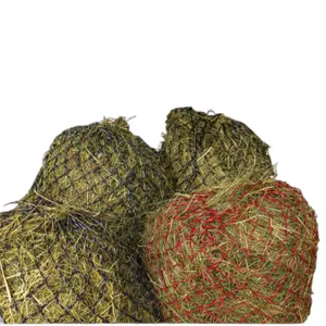 Heunetz Hippotonic Zari image-2