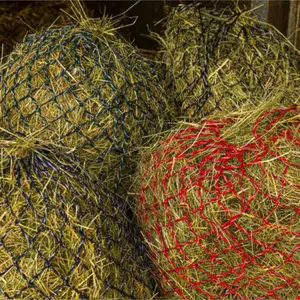 Heunetz Hippotonic Zari image-1