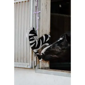 Παιχνίδι για άλογο Hippotonic Zèbre image-4