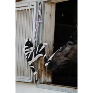 Παιχνίδι για άλογο Hippotonic Zèbre image-5