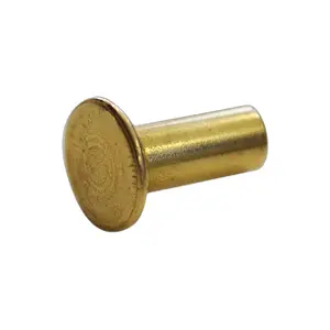 Rivets in Messing Hispano Farrier