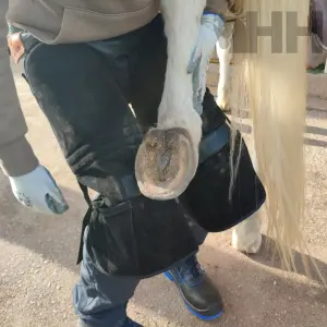 Smedenschort Hispano Farrier image-1