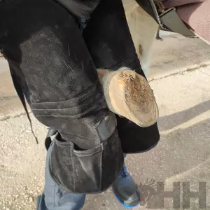 Smedenschort Hispano Farrier image-2