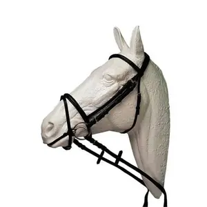 English Horse Halter Hispano Hipica image-0
