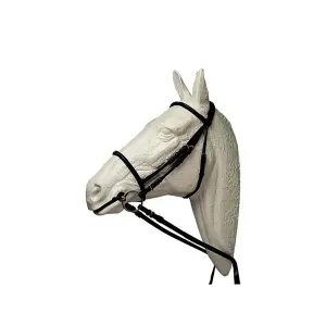 English Horse Halter Hispano Hipica image-0