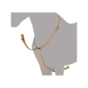 Riding bridle Hispano Hipica image-0