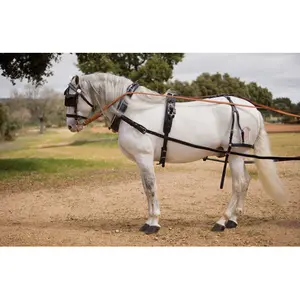Simple Horse Harness Hispano Hipica Keiffer