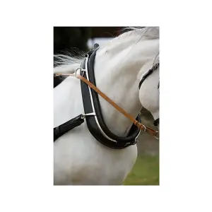 Leather hunting collar for horse Hispano Hipica Extra image-0