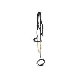 Leather Riding Bridle with Chain Hispano Hipica Eco image-0