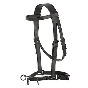Leather halter for horse Hispano Hipica image-0