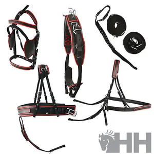 Pferdegeschirr Hispano Hipica