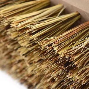 Natural Plant Fiber Horse Brush Hispano Hipica image-1