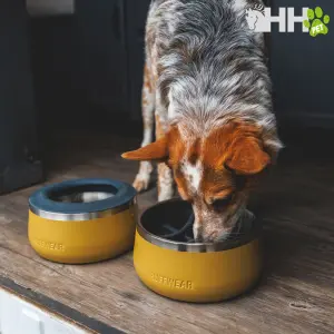 Dog bowl Hispano Hipica image-4