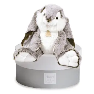 Plush Histoire d'Ours Lapin Marius image-0