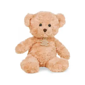 Plush Ours Câlin Histoire d'Ours Ours Câlin