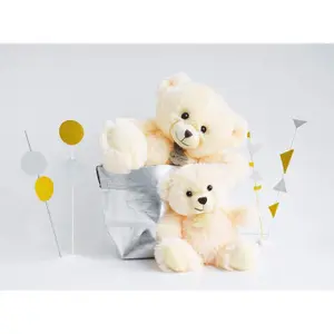 Plush Histoire d'Ours Ours Bellydou image-1