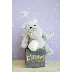 Plush Histoire d'Ours Hippo'dou image-2