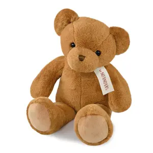 Teddy Bear Histoire d'Ours image-0